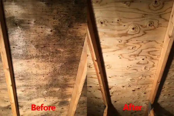 water damage restoration service Orange